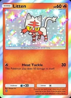 Litten card in English