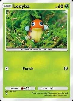 Ledyba card in English