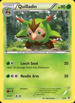 Quilladin card in English