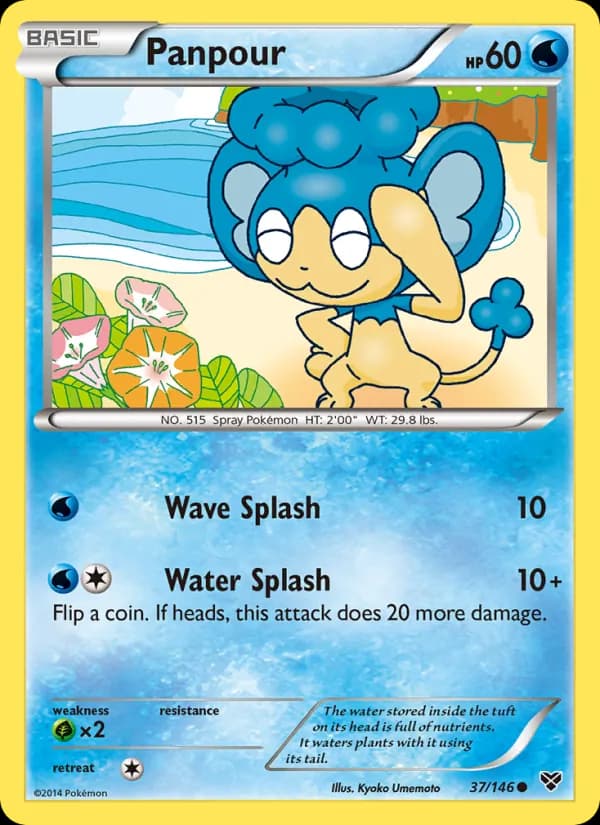 Panpour card in English