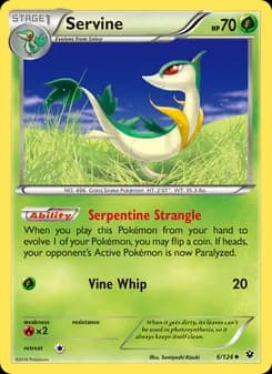Servine card in English