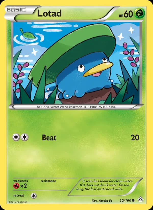 Lotad card in English