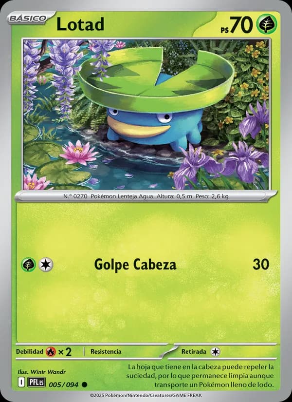 Lotad card in Spanish