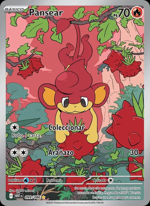 Pansear card in Spanish