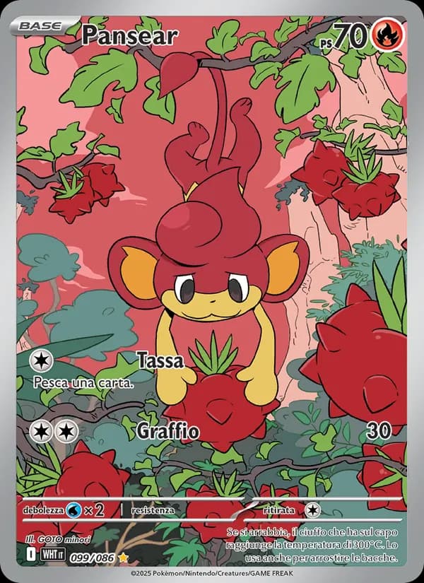 Pansear card in Italian